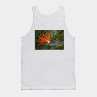 Bird of Paradise Flower Tank Top